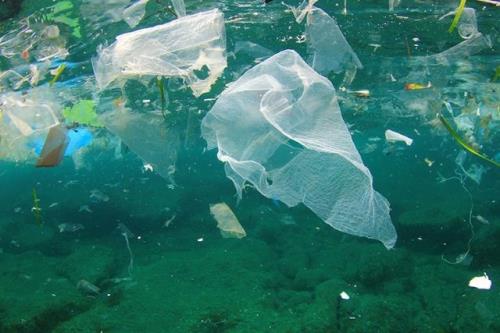 طرح های برتر مقابله با آلودگی های پلاستیکی عرضه شدند