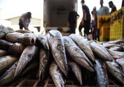احتمال انتقال یك نوع عفونت خاص با مصرف غذای دریایی خام