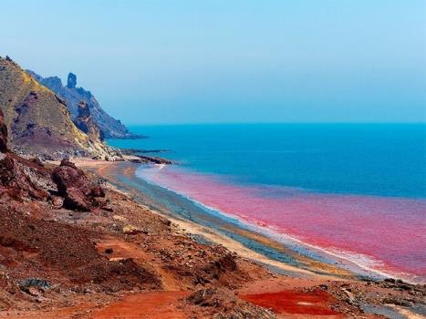 جلبك دریای عمان، منبع باارزش آنتی اكسیدان
