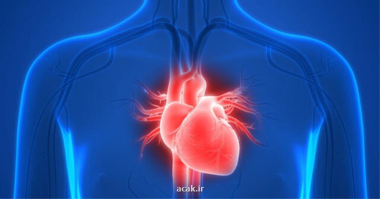 تزریق سلول های بنیادی راهی برای بهبود نارسایی قلبی