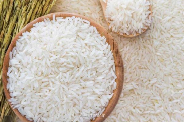 برنج تراریخته چه تاثیری بر سلامت موش ها دارد؟