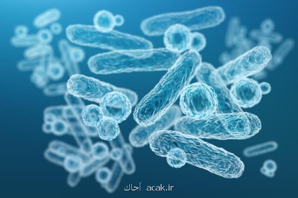بررسی مقاومت آنتی بیوتیکی یک نوع باکتری روده