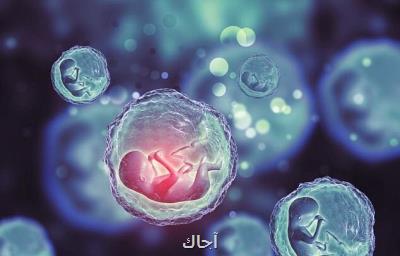 ارتباط بین هورمون تیروئید و ذخیره تخمدان ها
