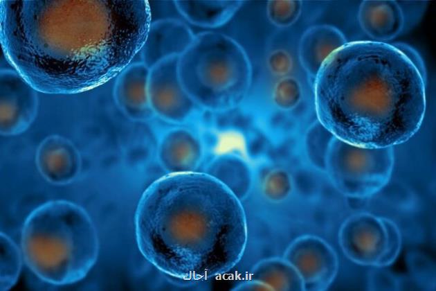 سلول های بنیادی القایی: روش های تولید و چشم انداز تازه ای در مطالعه کووید ۱۹