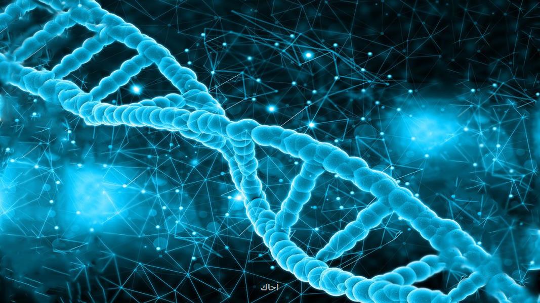 رصد تعامل نانوساختارهای DNA با غشای لیپیدی برای اولین بار