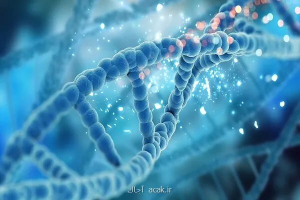 ساخت کامپیوتری مبتنی بر DNA محاسبات بدون نیاز به برق مداوم