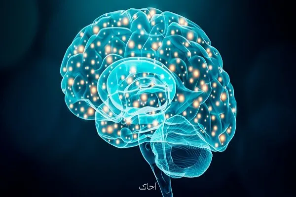 بازبینی سند علوم و فناوری های شناختی با تکیه بر اولویت بندی حوزه ها