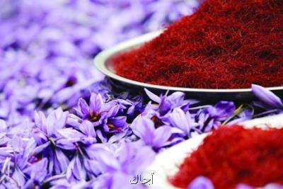 تاثیر زعفران از افسردگی تا آلزایمر و اختلالات روانی