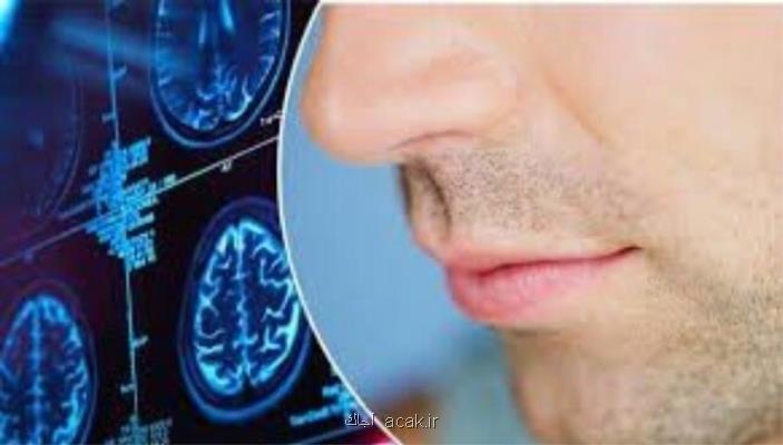 جدید ترین یافته های كمی محققان درباره اثرات كرونا بر بویایی