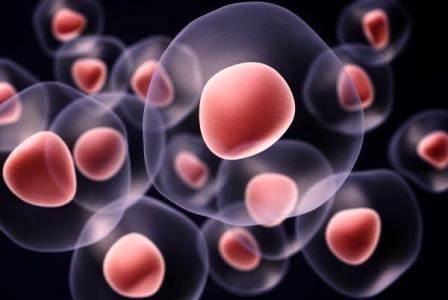 نانوذرات در خدمت كنترل تمایز سلول های بنیادی سرطان