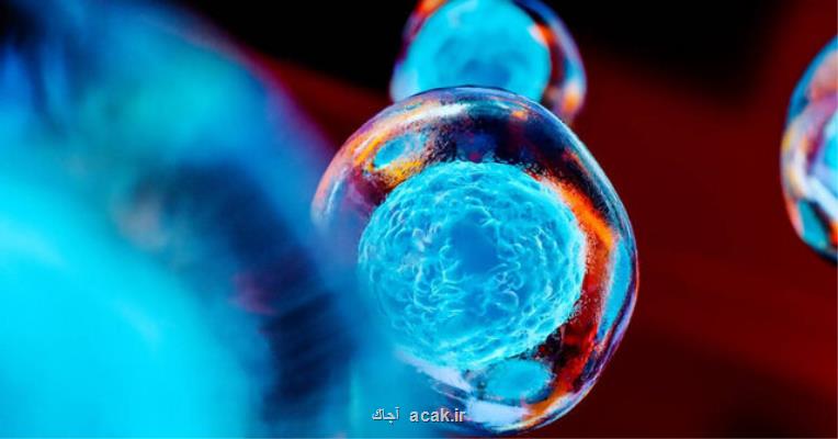 نانوذره ای كه می تواند سلول های بنیادی را ردیابی كند