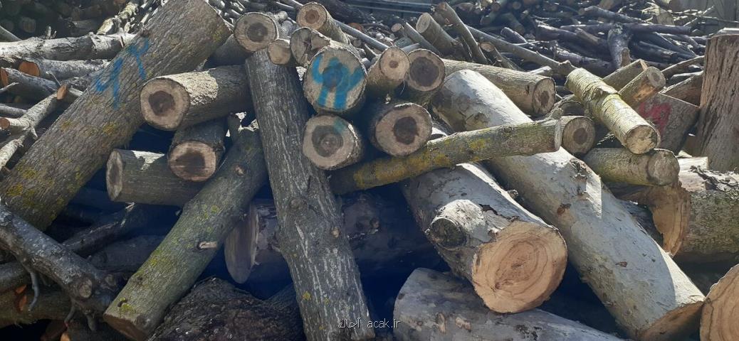 تولید چوب حرارتی با حمایت صندوق نوآوری و شكوفایی